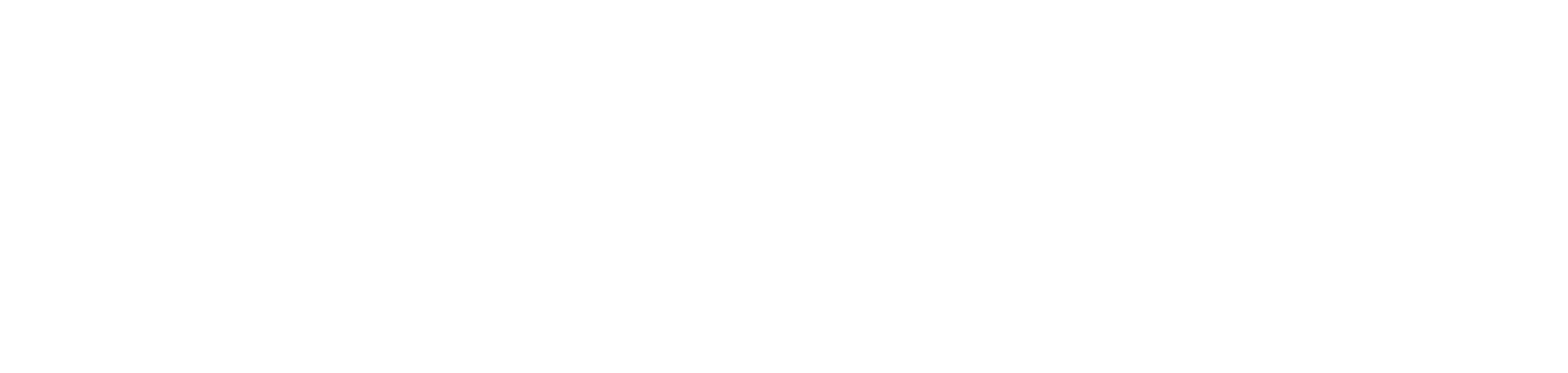 Renauer IT-Solutions